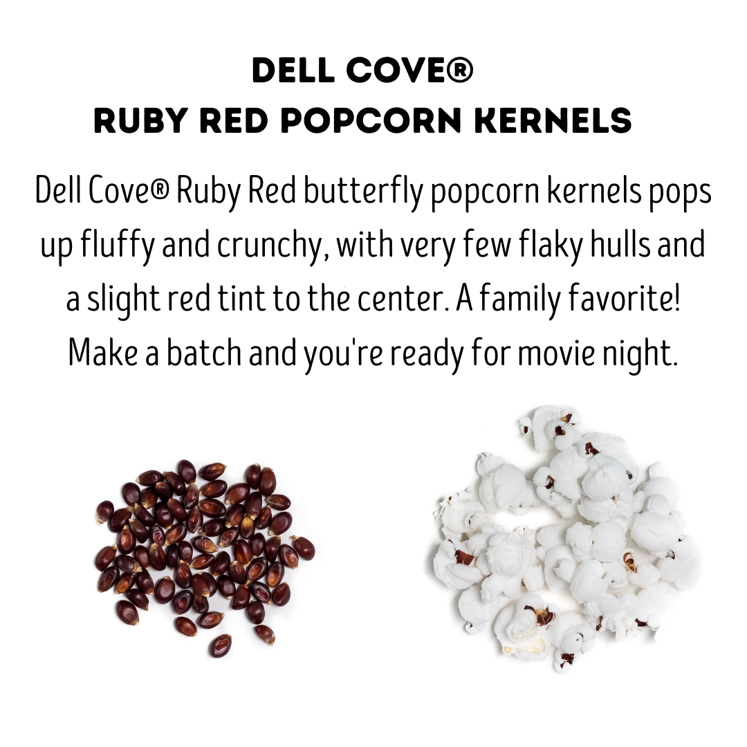 Ruby Red Popcorn Kernels - 2 Pound Bag - Butterfly Popcorn | Olive Rustica